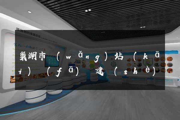巢湖市網(wǎng)站開(kāi)發(fā)與建設(shè)