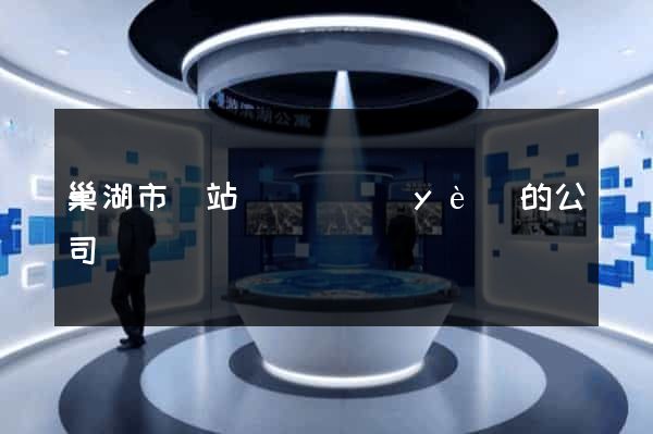 巢湖市網站設計專業(yè)的公司