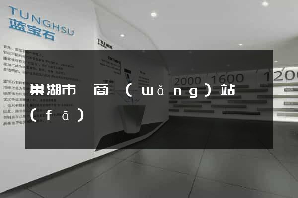 巢湖市電商網(wǎng)站開發(fā)