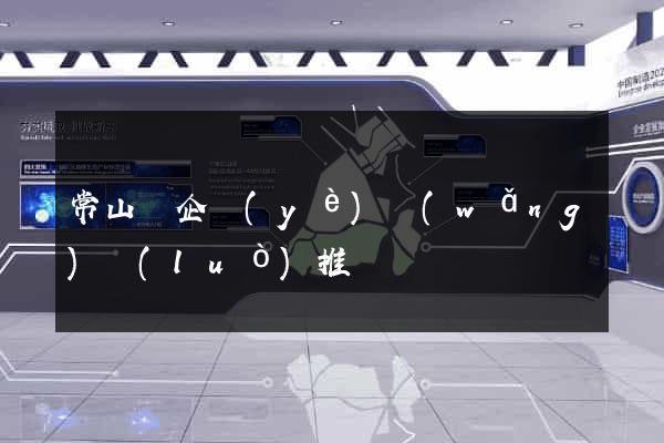常山縣企業(yè)網(wǎng)絡(luò)推廣