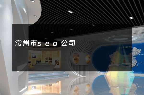 常州市seo公司