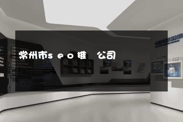 常州市seo推廣公司