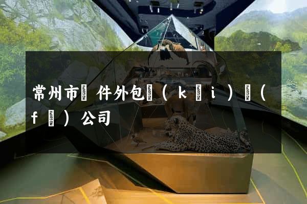 常州市軟件外包開(kāi)發(fā)公司