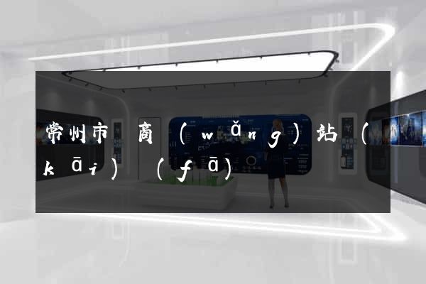 常州市電商網(wǎng)站開(kāi)發(fā)