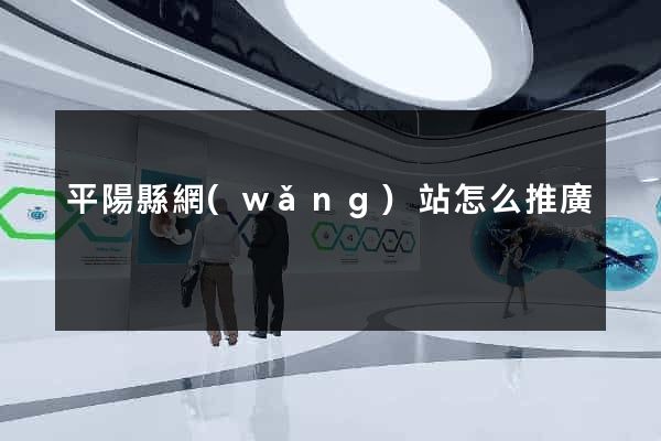 平陽縣網(wǎng)站怎么推廣
