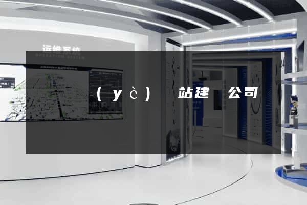 廈門專業(yè)網站建設公司