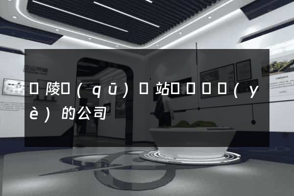 廣陵區(qū)網站設計專業(yè)的公司