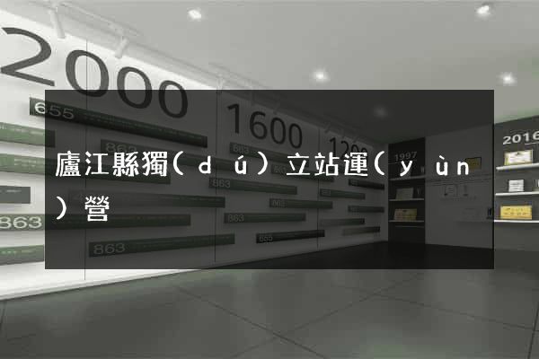 廬江縣獨(dú)立站運(yùn)營