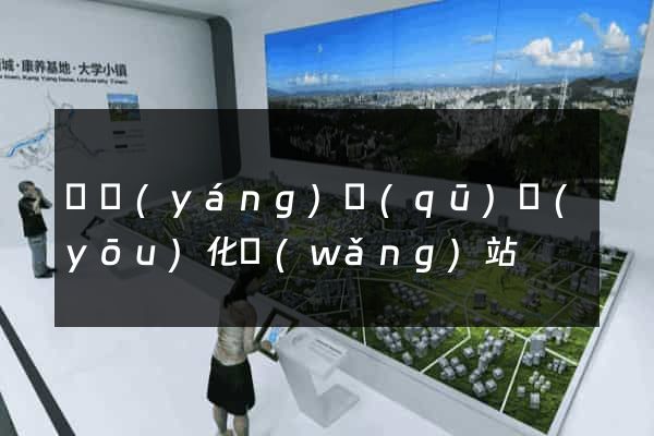 廬陽(yáng)區(qū)優(yōu)化網(wǎng)站