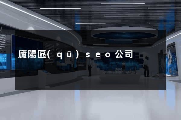 廬陽區(qū)seo公司