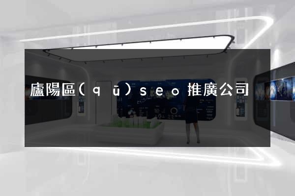 廬陽區(qū)seo推廣公司