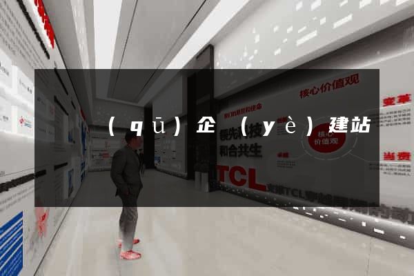 廬陽區(qū)企業(yè)建站