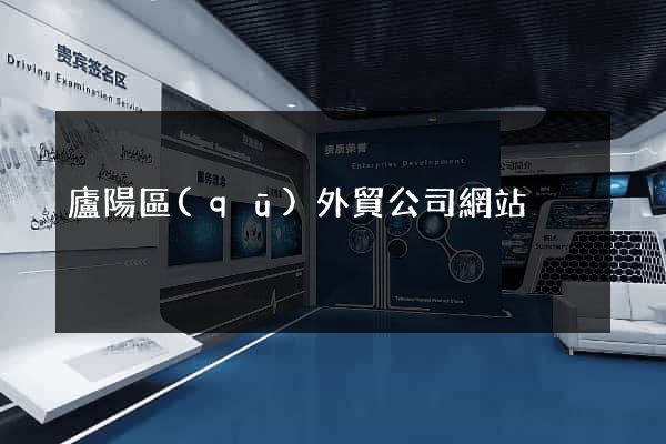 廬陽區(qū)外貿公司網站