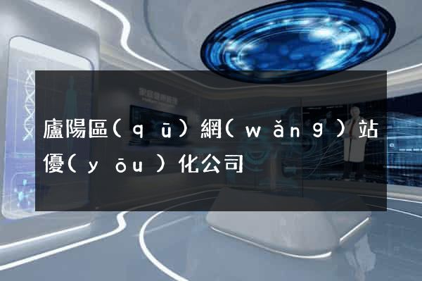 廬陽區(qū)網(wǎng)站優(yōu)化公司