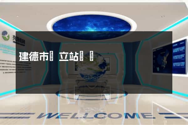 建德市獨立站運營