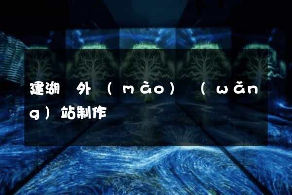 建湖縣外貿(mào)網(wǎng)站制作