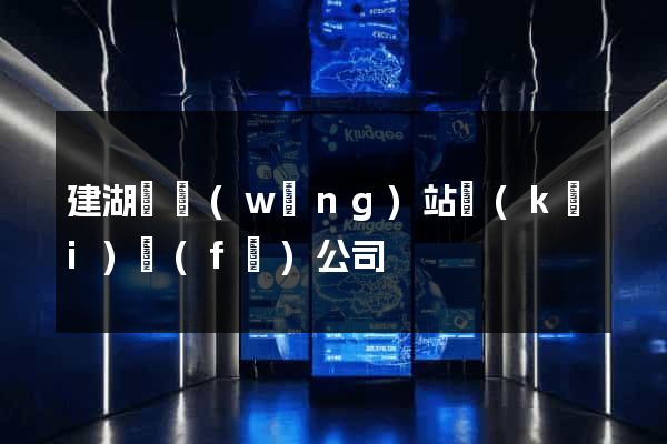建湖縣網(wǎng)站開(kāi)發(fā)公司