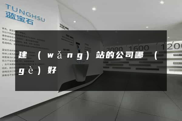 建網(wǎng)站的公司哪個(gè)好