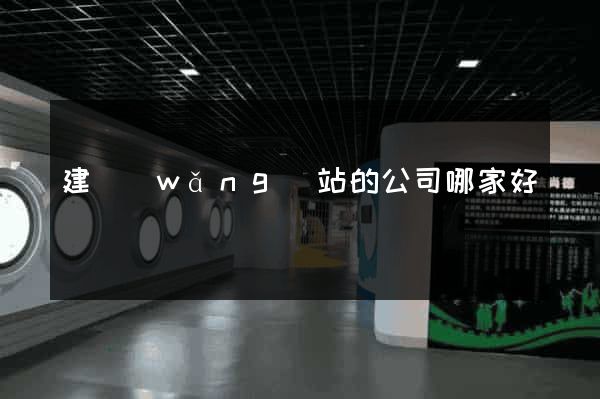建網(wǎng)站的公司哪家好
