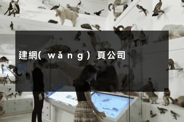 建網(wǎng)頁公司