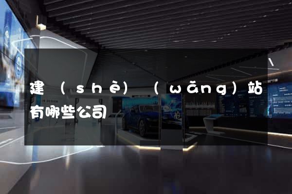 建設(shè)網(wǎng)站有哪些公司