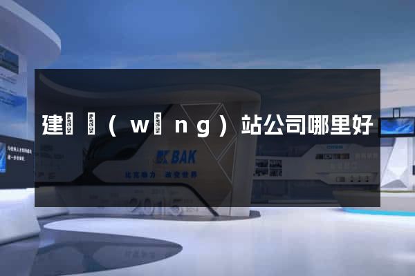 建設網(wǎng)站公司哪里好