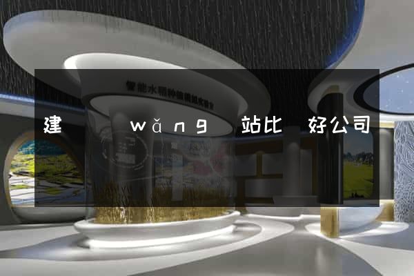 建設網(wǎng)站比較好公司