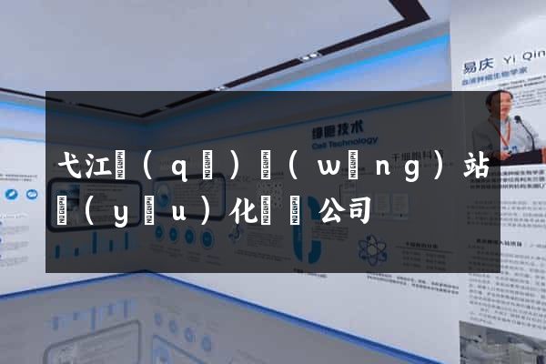 弋江區(qū)網(wǎng)站優(yōu)化設計公司