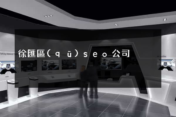 徐匯區(qū)seo公司