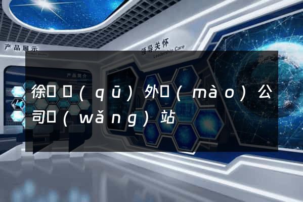 徐匯區(qū)外貿(mào)公司網(wǎng)站