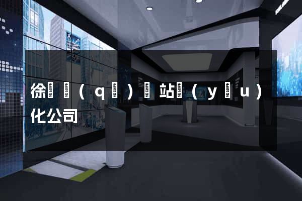 徐匯區(qū)網站優(yōu)化公司