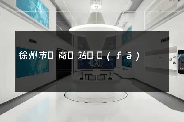 徐州市電商網站開發(fā)