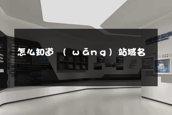 怎么知道網(wǎng)站域名