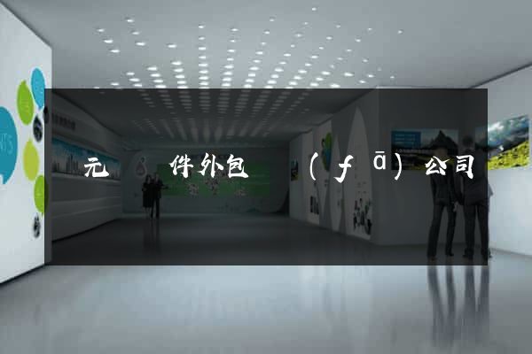 慶元縣軟件外包開發(fā)公司