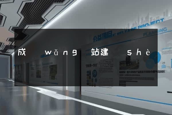 成網(wǎng)站建設(shè)
