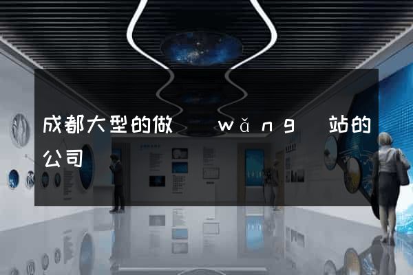 成都大型的做網(wǎng)站的公司