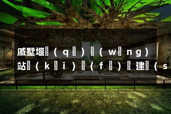 戚墅堰區(qū)網(wǎng)站開(kāi)發(fā)與建設(shè)