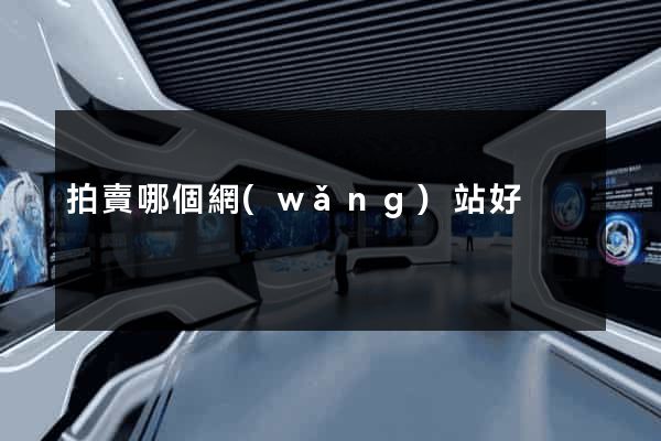 拍賣哪個網(wǎng)站好