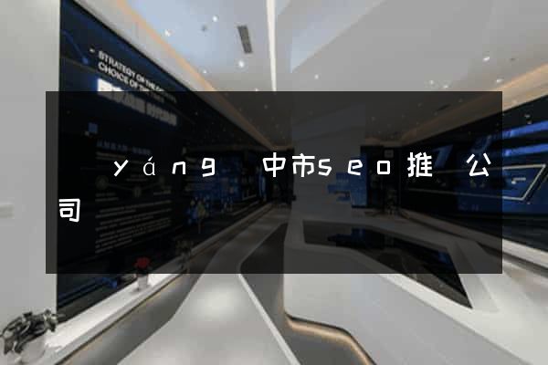 揚(yáng)中市seo推廣公司
