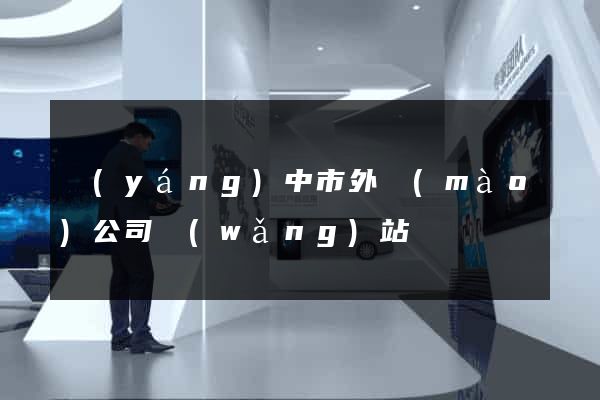 揚(yáng)中市外貿(mào)公司網(wǎng)站