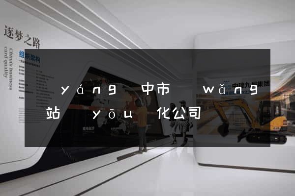 揚(yáng)中市網(wǎng)站優(yōu)化公司