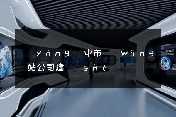 揚(yáng)中市網(wǎng)站公司建設(shè)