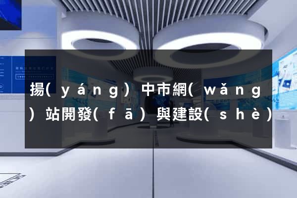 揚(yáng)中市網(wǎng)站開發(fā)與建設(shè)