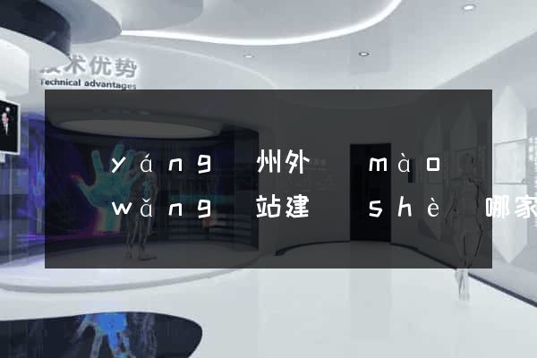 揚(yáng)州外貿(mào)網(wǎng)站建設(shè)哪家好