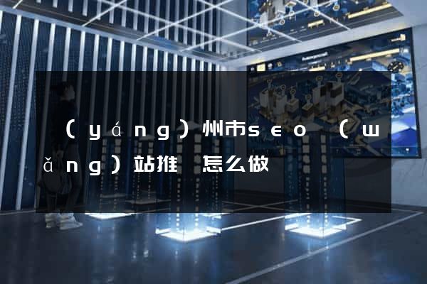 揚(yáng)州市seo網(wǎng)站推廣怎么做