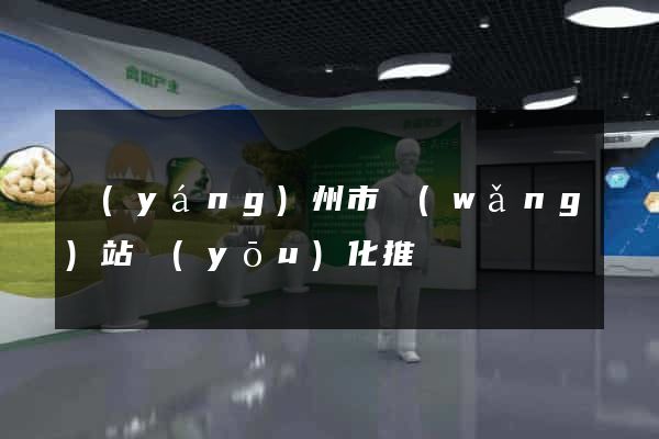 揚(yáng)州市網(wǎng)站優(yōu)化推廣