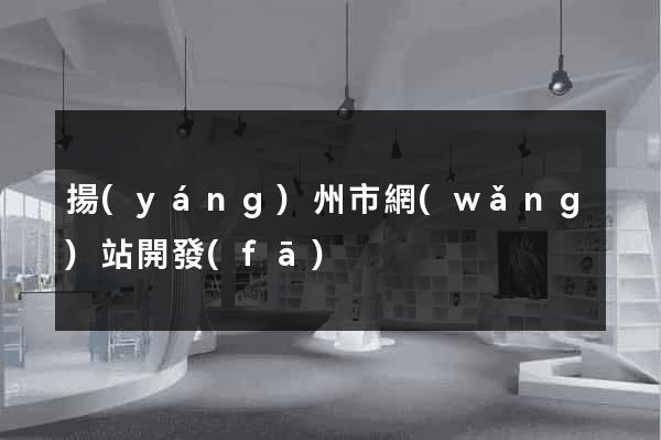 揚(yáng)州市網(wǎng)站開發(fā)