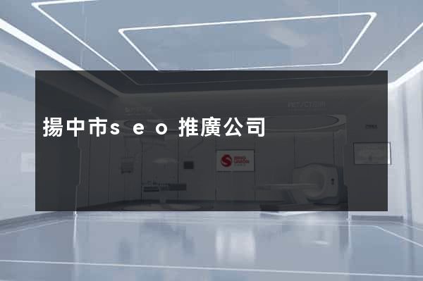 揚中市seo推廣公司