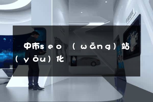 揚中市seo網(wǎng)站優(yōu)化