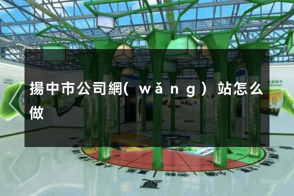 揚中市公司網(wǎng)站怎么做